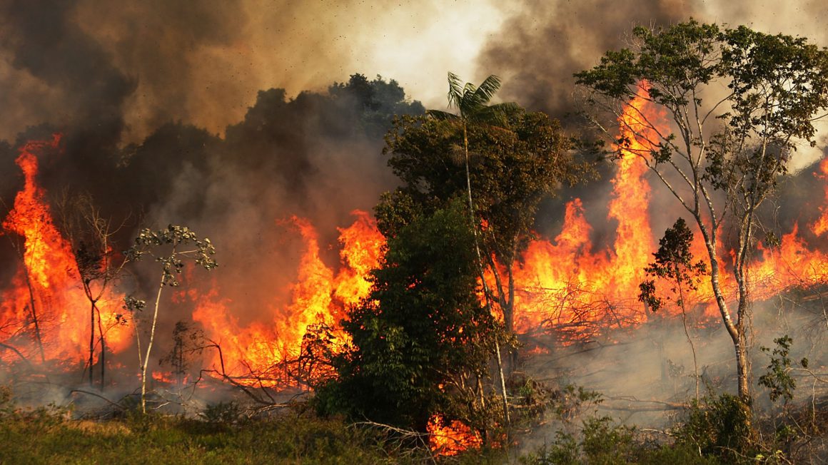 آتش سوزی جنگل‌های آمازون